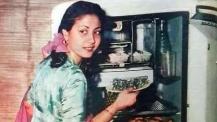 Meena Kumari Vintage Fridge, Meena Kumari film, Meena Kumari songs