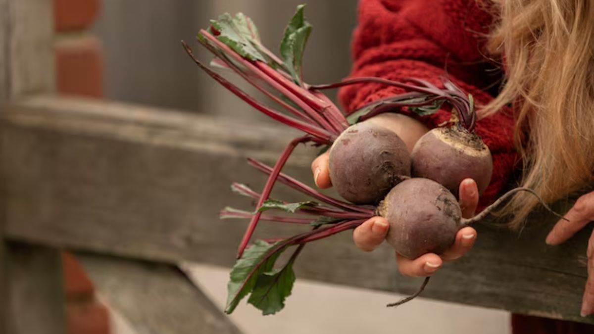 https://www.jagranimages.com/images/newimg/14042025/14_04_2025-beetroot_23918462.jpg