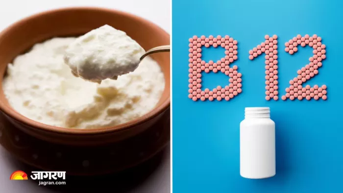 दही में इन 3 चीजों को मिलाकर खाना कर दें शुरू, शरीर को मिलेगा भरपूर Vitamin-B12 (Image Source: Freepik)