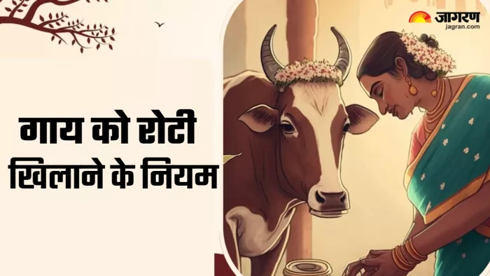 Gau seva niyam (Picture Credit: Freepik) (AI Image)