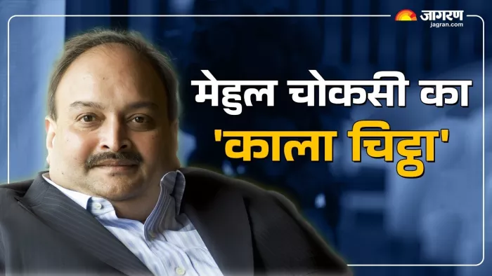 13,850 करोड़ रुपए के PNB घोटाले का आरोपी मेहुल चोकसी।