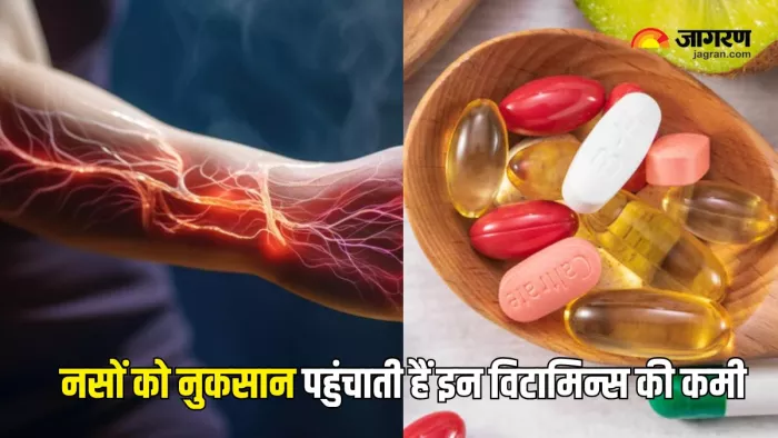 इन विटामिन्स की कमी से कमजोर हो जाएंगी नसें (Picture Courtesy: Freepik)