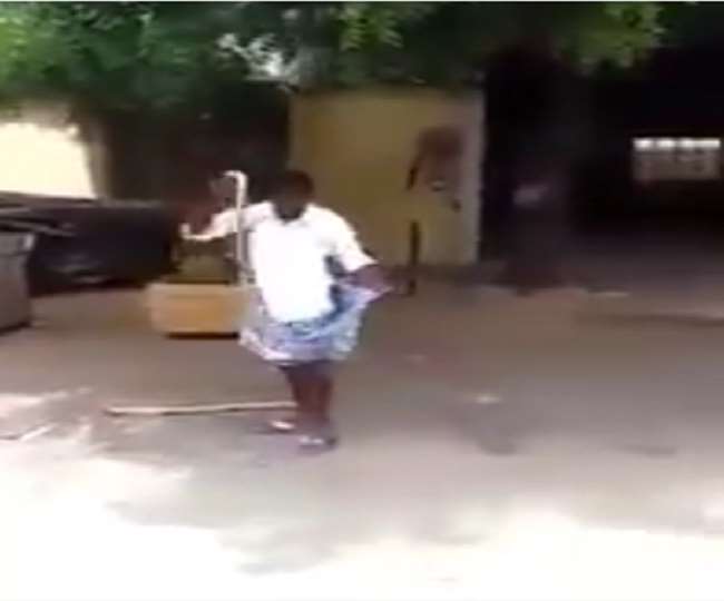 इस वीडियो को भारतीय वन सेवा के अधिकारी ने शेयर किया है