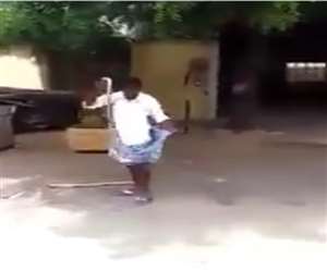 इस वीडियो को भारतीय वन सेवा के अधिकारी ने शेयर किया है