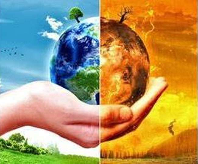 पेड़ जलवायु परिवर्तन का समाधान नहीं,अध्ययन में हुआ खुलासा