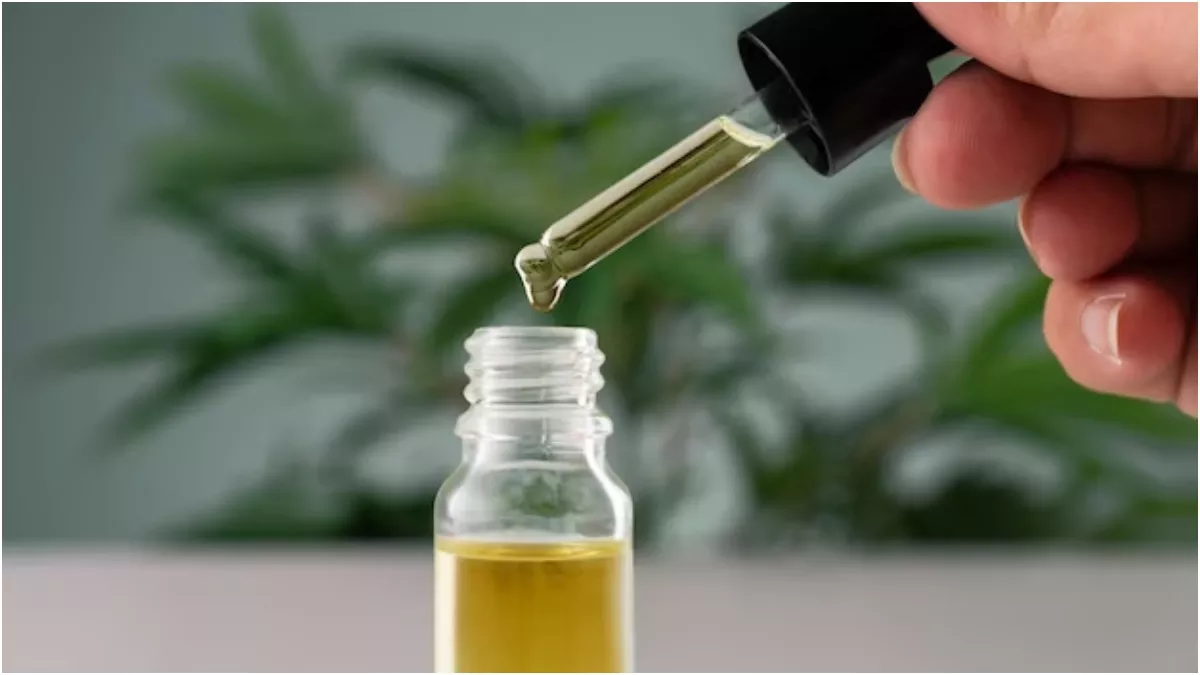 Cold Pressed Oil: स्किन प्रॉब्लम्स के लिए ढूंढ रहे हैं कोई प्राकृतिक उपाय, तो कोल्ड प्रेस्ड ऑयल को करें ट्राई