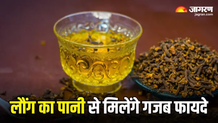 सेहत के लिए रामबाण से कम नहीं है लौंग का पानी, मिलते हैं ये 4 गजब फायदे (Image Source: Freepik)