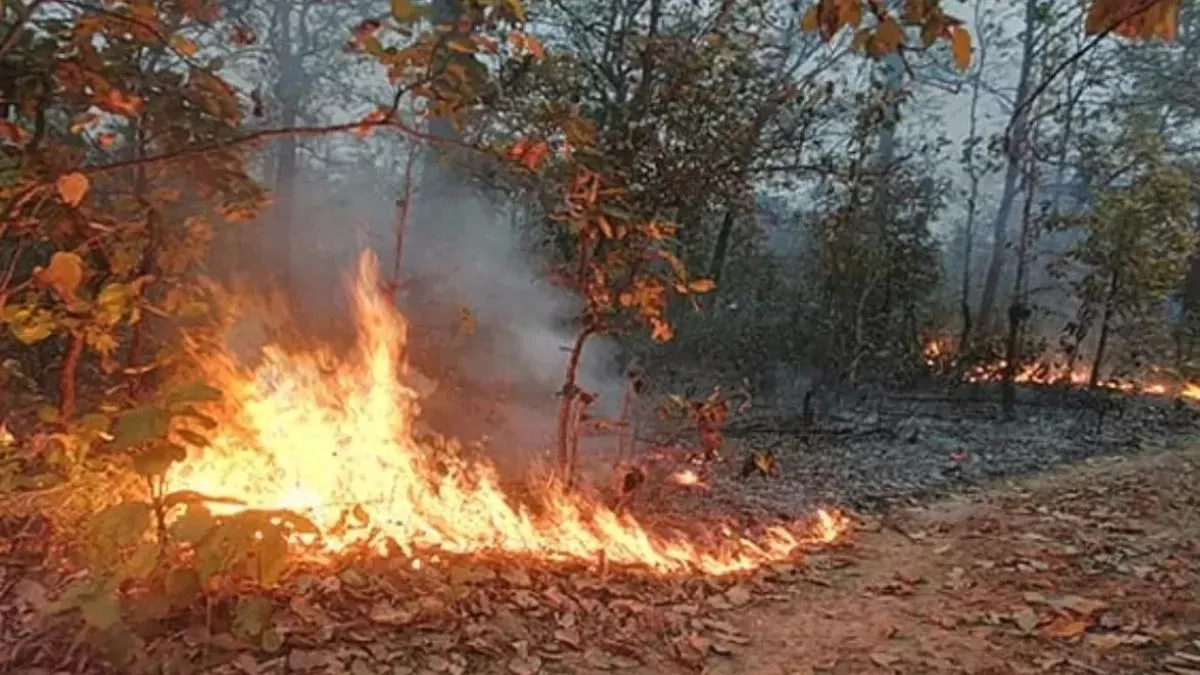 Himachal News: चिंतपूर्णी इलाके में बेकाबू हुई भीषण आग, धू-धू कर जल रहे जंगल; तिनका-तिनका हो रहा राख