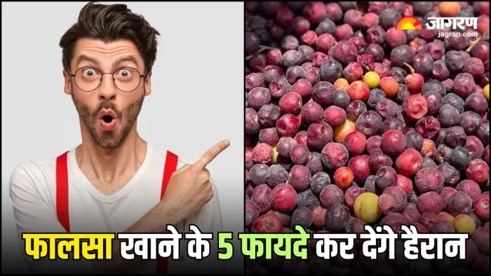 गर्मियों में दबाकर खाएं फालसा, मिलेंगे ये 5 गजब फायदे (Image Source: Freepik)