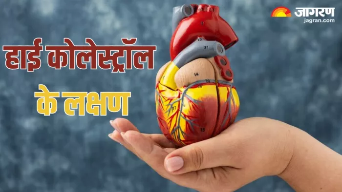 हाई कोलेस्ट्रॉल के शुरुआती संकेत (Picture Credit- Freepik)