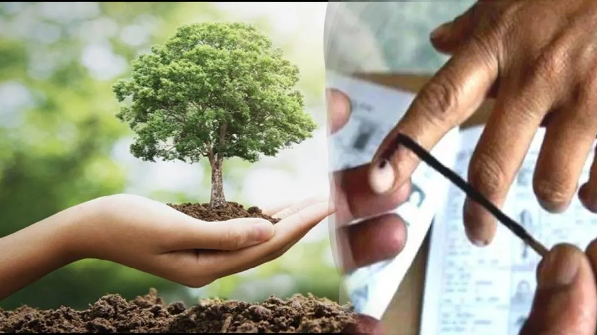 Himachal News: अनोखी पहल... वोट करो पेड़ पाओ, मतदान केंद्रों पर वन विभाग मतदाताओं को बांटेगा देवदार के पौधे
