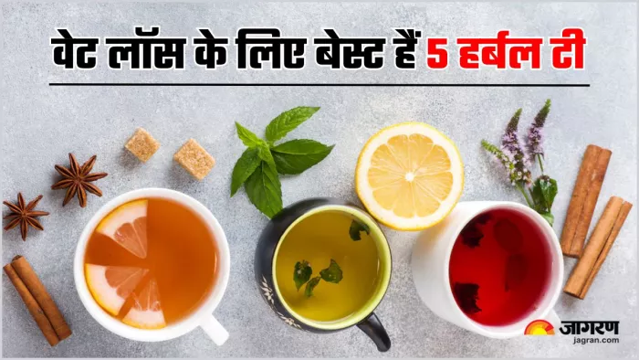 इन 5 Herbal Teas से रिप्लेस करें दूध वाली चाय, वेट लॉस में मिलेगी मदद (Image Source: Freepik)
