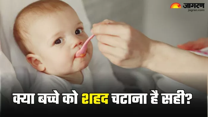 क्या छोटे बच्चों को शहद चटाना सही है? (Picture Credit- Freepik)