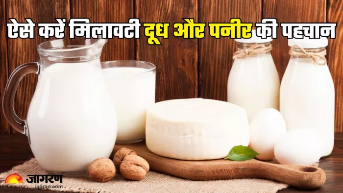 ऐसे करें मिलावटी दूध और पनीर की पहचान (Picture Credit- Freepik)