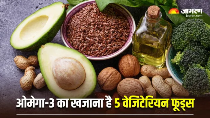 मछली नहीं खाते तो क्या हुआ? ये 5 वेजिटेरियन फूड्स दूर करेंगे Omega-3 Fatty Acids की कमी (Image: Freepik)