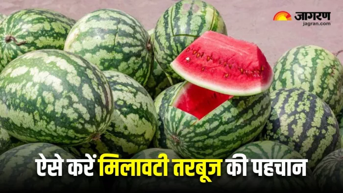 क्या आपका तरबूज भी है मिलावटी? इन 5 तरीकों से मिनटों में लगाएं पता (Image Source: Freepik)