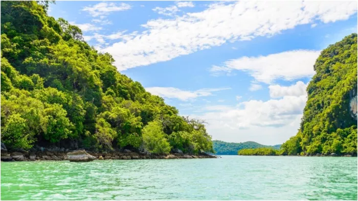 Andamans: अंडमान-निकोबार जानें का सही समय क्या है