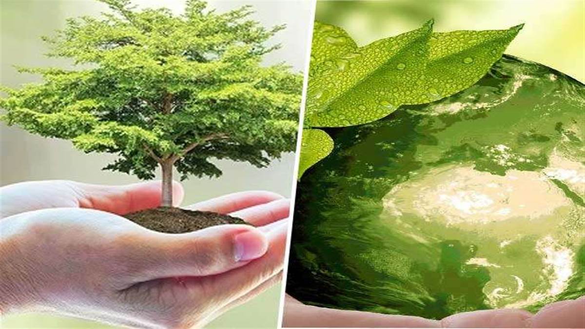 आखिर भारत सरकार ने पर्यावरण प्रदर्शन सूचकांक को क्यों खारिज किया। फाइल फोटो।