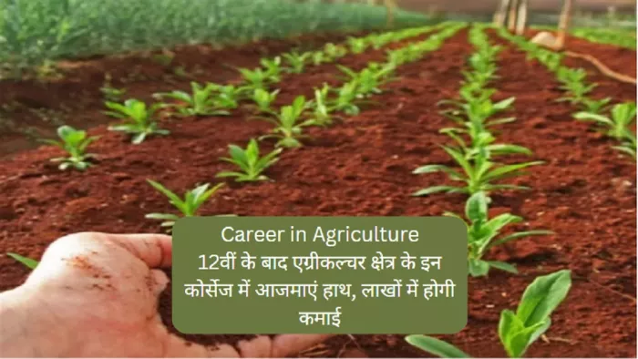 Career in Agriculture: 12वीं के बाद से ही एग्रीकल्चर के क्षेत्र में कदम रखकर बनाएं सफल भविष्य।