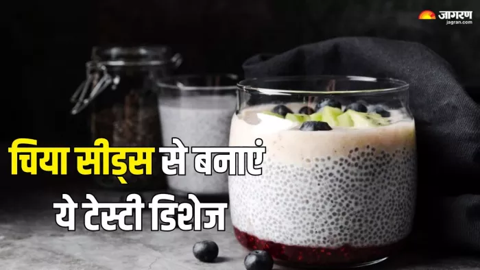 इन तरीकों से चिया सीड्स को करें डाइट में शामिल (Picture Credit- Freepik)