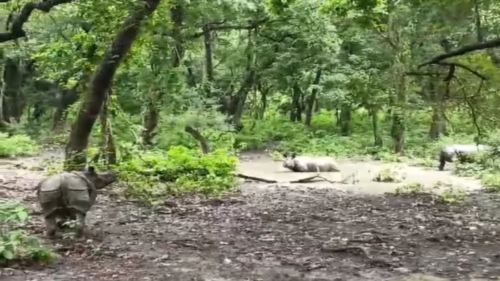 पर्यटकों के लिए आज शाम को बंद हो जाएगा दुधवा का द्वार