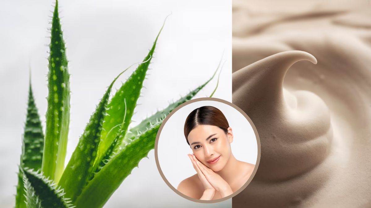 https://www.jagranimages.com/images/newimg/14062025/14_06_2025-aloevera_and_malai_1_23963825.jpg