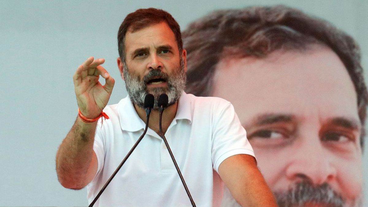 ncr rahul gandhi birthday new delhi city congress job fair 5000 jobs available