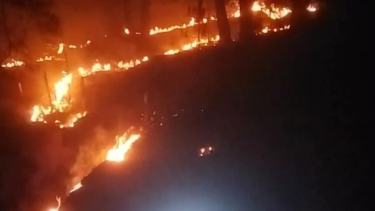 LoC के पास जंगलों में लगी भीषण आग,दूर तक दिखने लगी लपटें; घंटों बाद पाया गया काबू