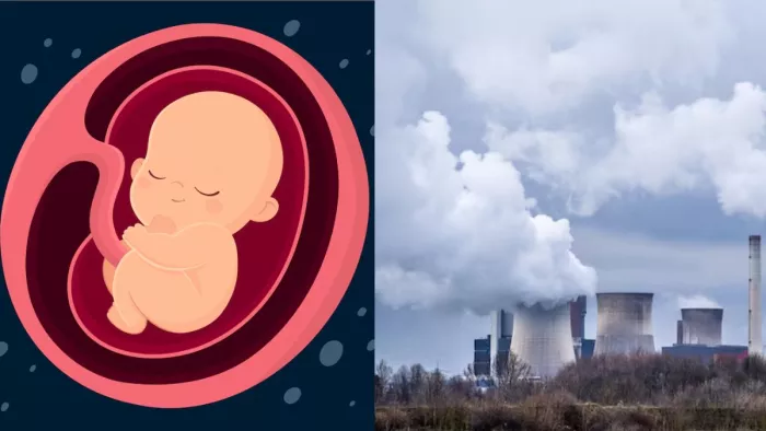 गर्भ में पल रहे बच्चे की सेहत को नुकसान पहुंचा रहा प्रदूषण। (Image Credit Freepik)