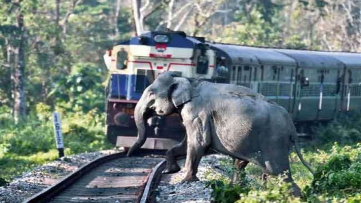 https://www.jagranimages.com/images/newimg/14062025/14_06_2025-railway_news_11_23964100.jpg