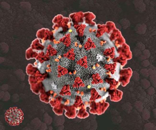 राजस्थान में Coronavirus के कप्पा वैरिएंट के 11 नए मामलों की पुष्टि