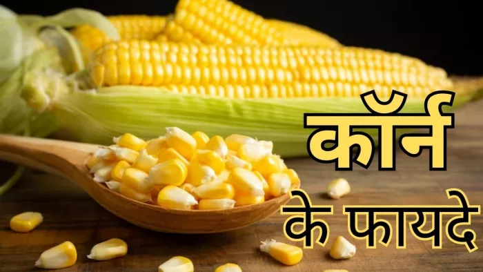 सेहत के लिए बेहद गुणकारी है कॉर्न