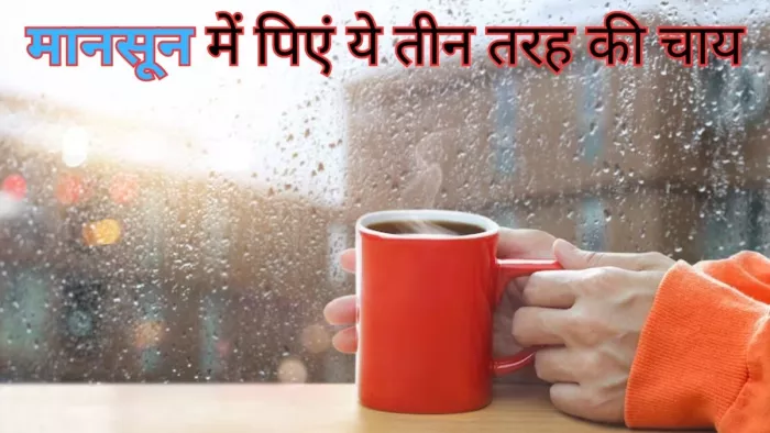 Monsoon Health Tips: मानसून में मौसमी बीमारियों से रहना चाहते हैं सुरक्षित, तो रोजाना पिएं ये 3 चाय