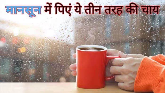 मौसमी बीमारियों से बचने के लिए बनाएं ये 3 चाय