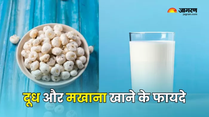 रोज खाएंगे दूध और मखाना, तो सेहत रहेगी दुरुस्त (Picture Courtesy: Freepik)