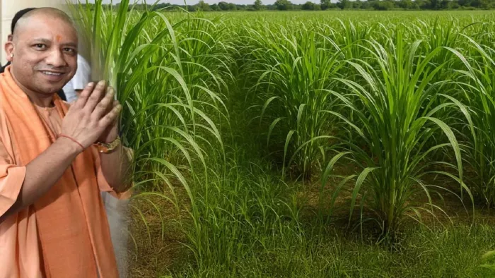 ब्यूरो: खेती के योग्य बनेगी 43850 हेक्टेयर बंजर भूमि