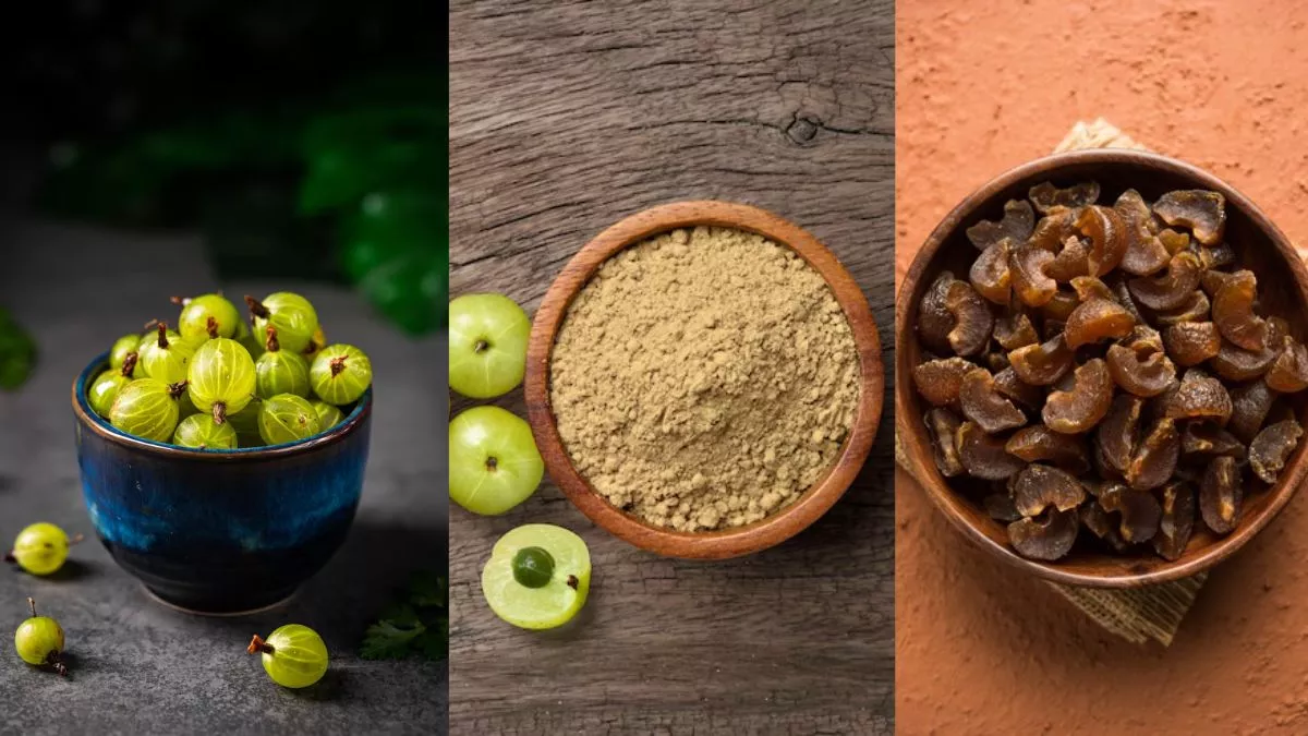 कच्चा, पाउडर या फ‍िर सूखा आंवला: सेहत के लिए क्या है सबसे बेहतर? यहां दूर करें कन्‍फयूजन