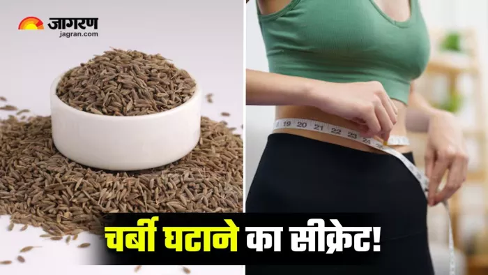 क्या वजन घटाने में मदद करता है जीरा? न्यूट्रिशनिस्ट ने बताई हकीकत (Image Source: Freepik)