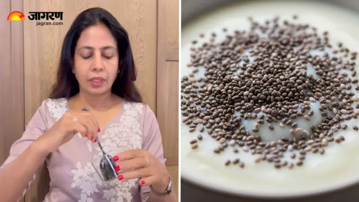 सेहत का सुपर कॉम्बिनेशन हैं दही और Chia Seeds (Image Source: Instagram)