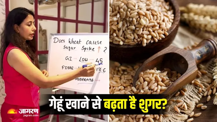 ब्लड शुगर और गेहूं का कनेक्शन: न्यूट्रिशनिस्ट ने बताई पूरी बात (Image Source: Instagram)