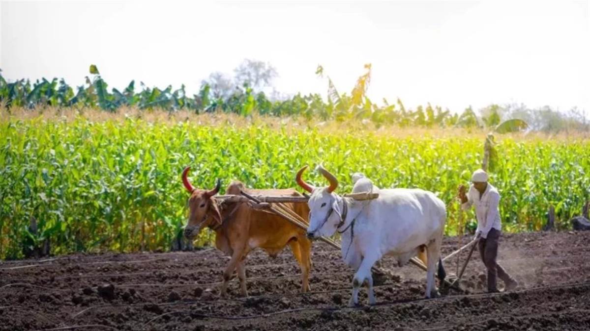 https://www.jagranimages.com/images/newimg/14072025/14_07_2025-farmer1_23984267.jpg