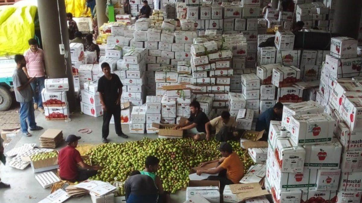 https://www.jagranimages.com/images/newimg/14072025/14_07_2025-himachal_apple_season_23984081.jpg