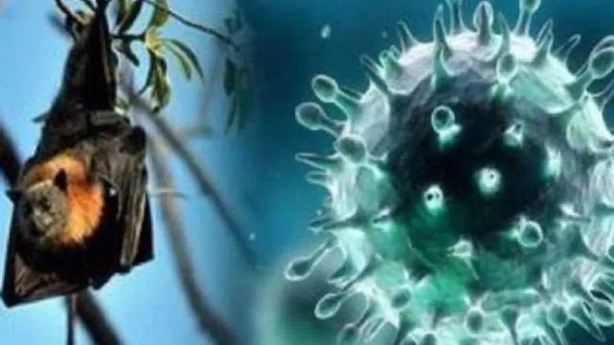 https://www.jagranimages.com/images/newimg/14072025/14_07_2025-nipah_virus_23983681.jpg