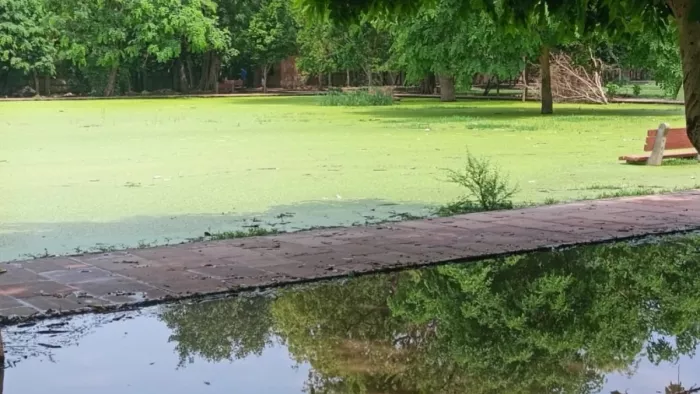शहर में बनाए जाएंगे तीन माडल पार्क पार्क, चिह्नित करने आदेश।