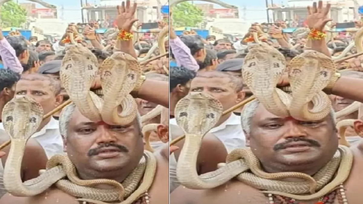 Samastipur News: सावन पंचमी को यहां लगती सांपों की प्रदर्शनी, गले में लपेट करतब दिखाने की अनूठी परंपरा