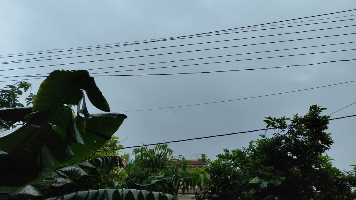 UP Weather Today उत्‍तर प्रदेश कानपुर में आसमान में द‍िन में हुआ अंधेरा, झमाझम हो रही बार‍िश
