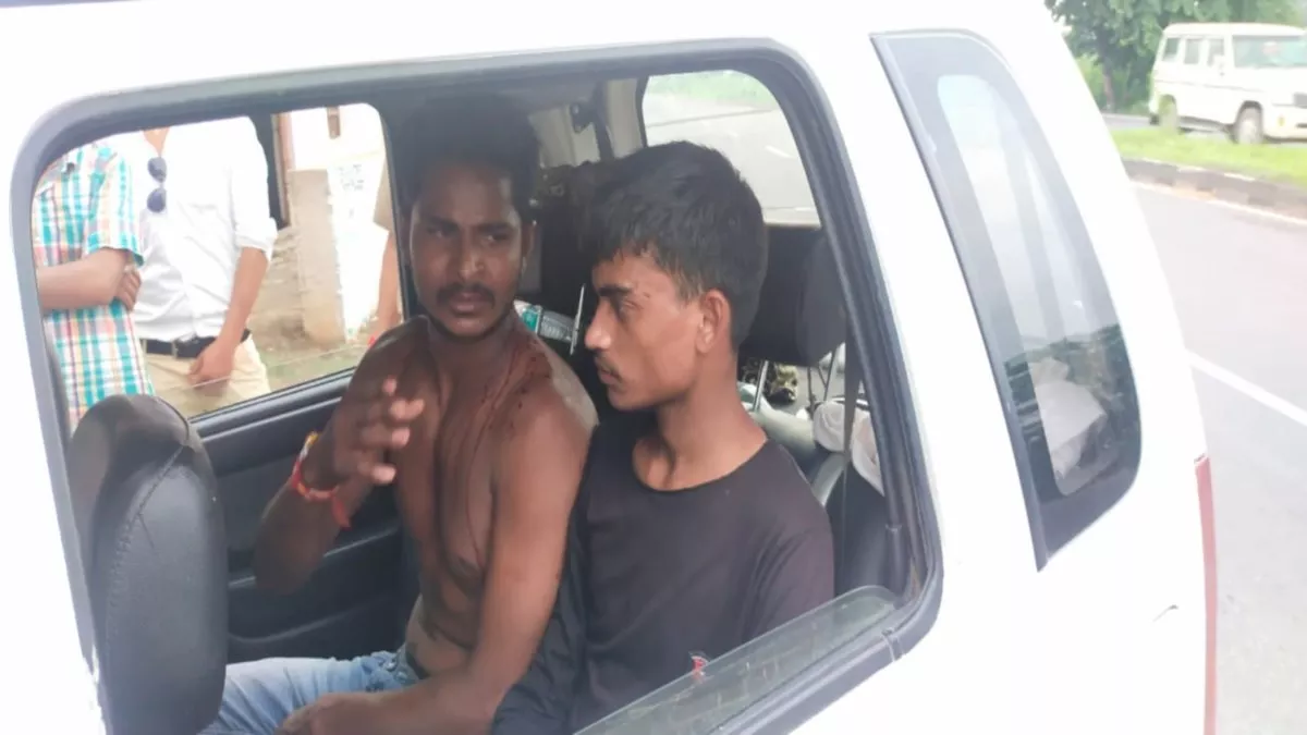Aligarh News: पशु चरा रहे युवकों के साथ मारपीट और तमंचे की बट से हमला, हवाई फायरिंग कर आरोपित हुए फरार