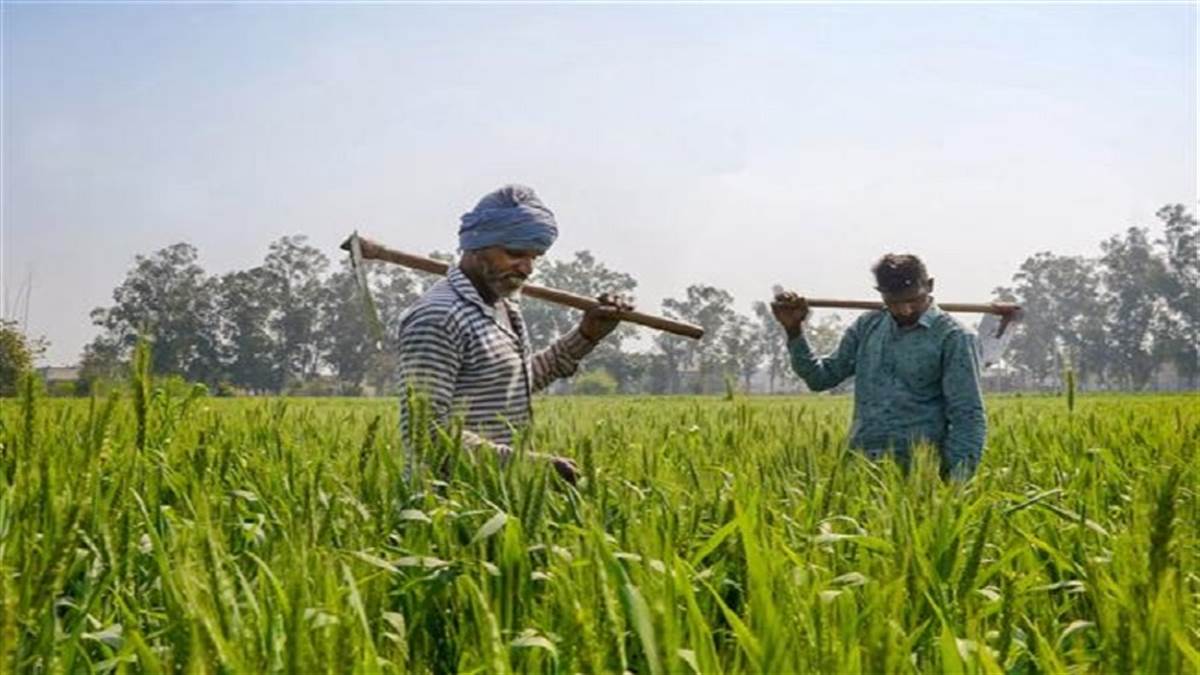https://www.jagranimages.com/images/newimg/14082023/14_08_2023-kisaan_23500939.jpg