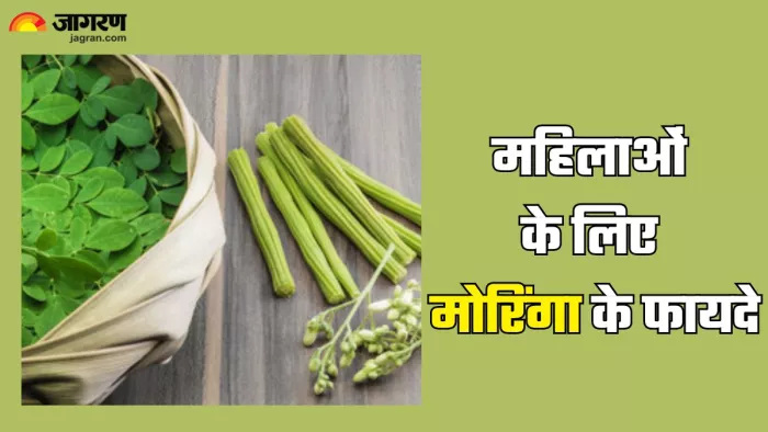 महिलाओं के लिए मोरिंगा के फायदे (Picture Credit- Freepik)