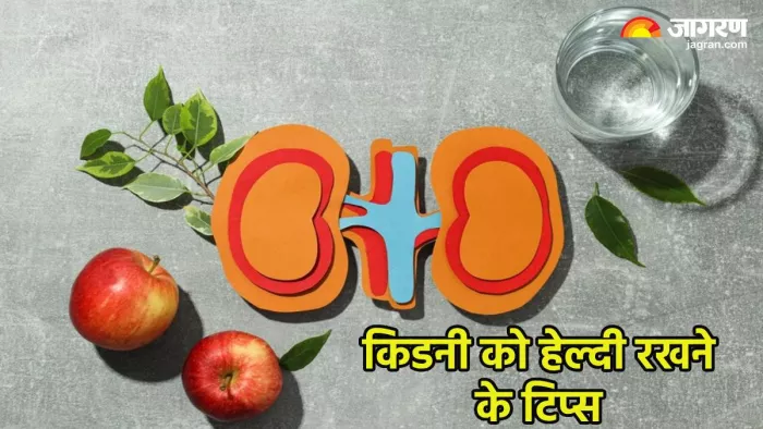 किडनी को हेल्दी रखने के टिप्स (Pic credit- freepik)